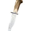 Bone Handle 